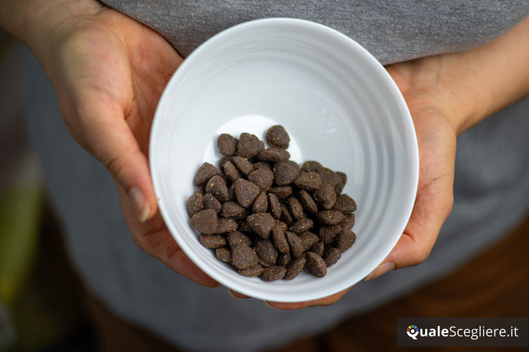 Ultra Premium Direct Agnello senza cereali per cani adulti sensibili 12 kg