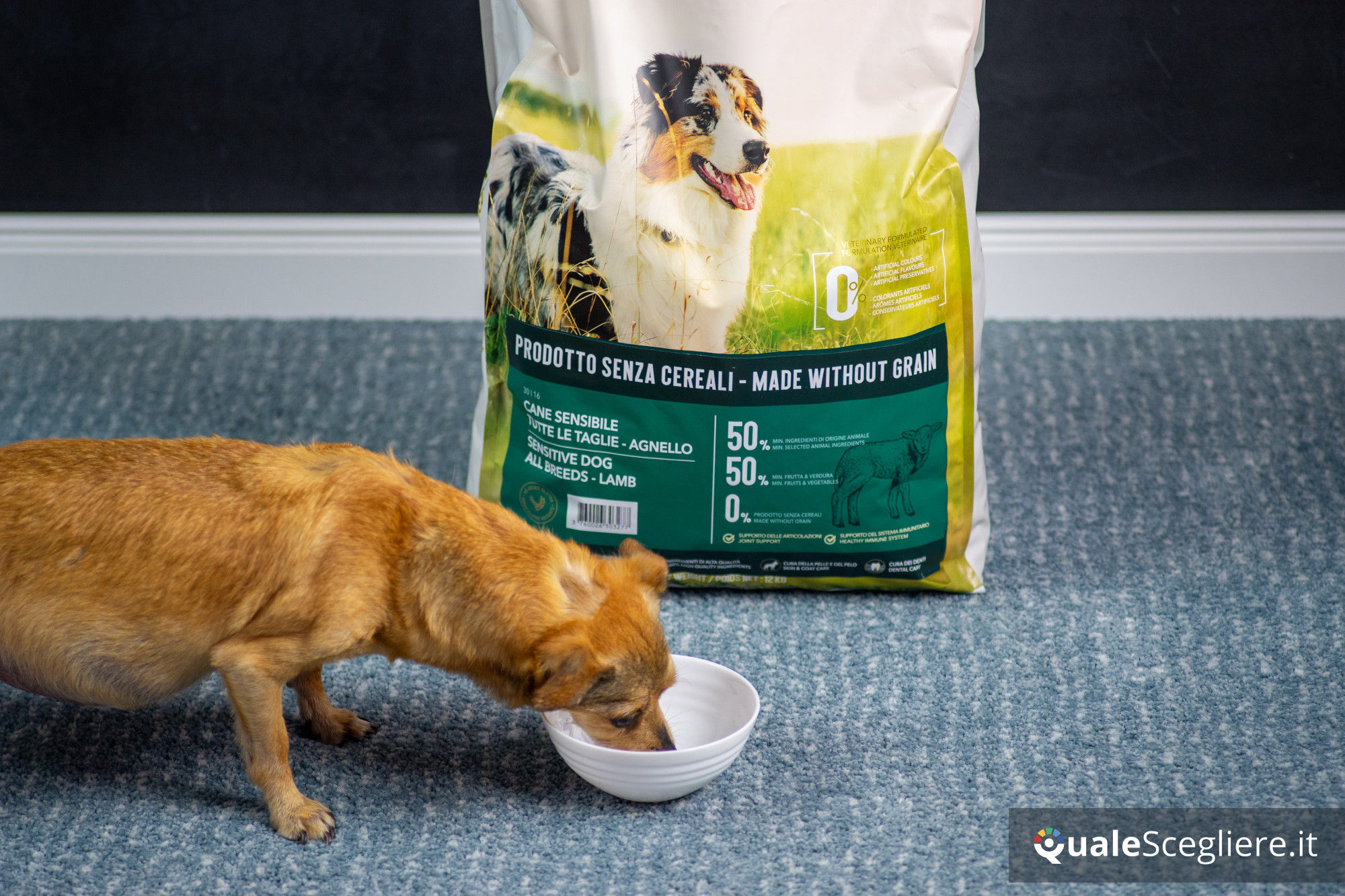 Ultra Premium Direct Agnello senza cereali per cani adulti sensibili 12 kg