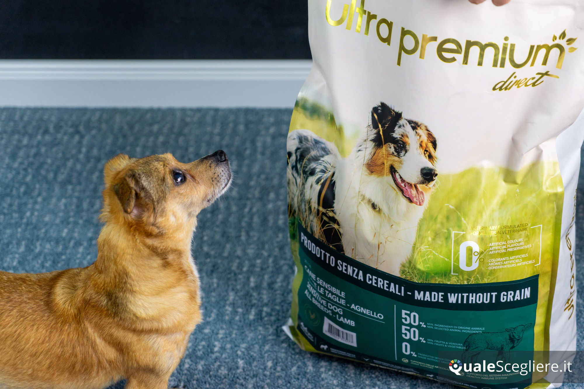 Ultra Premium Direct Agnello senza cereali per cani adulti sensibili 12 kg