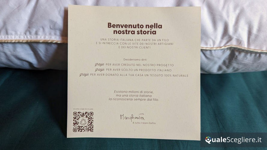 Dalfilo Cuscino in piuma Superior