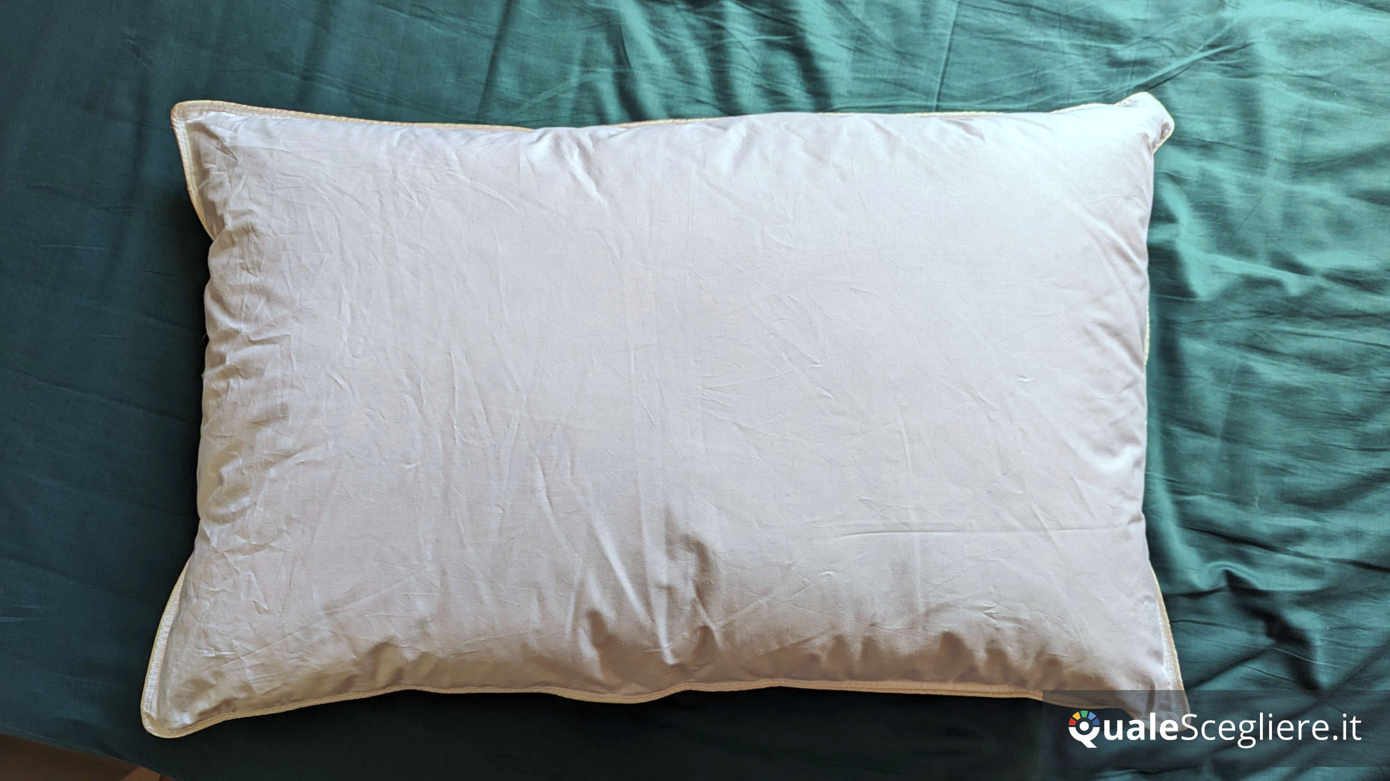 Dalfilo Cuscino in piuma Superior