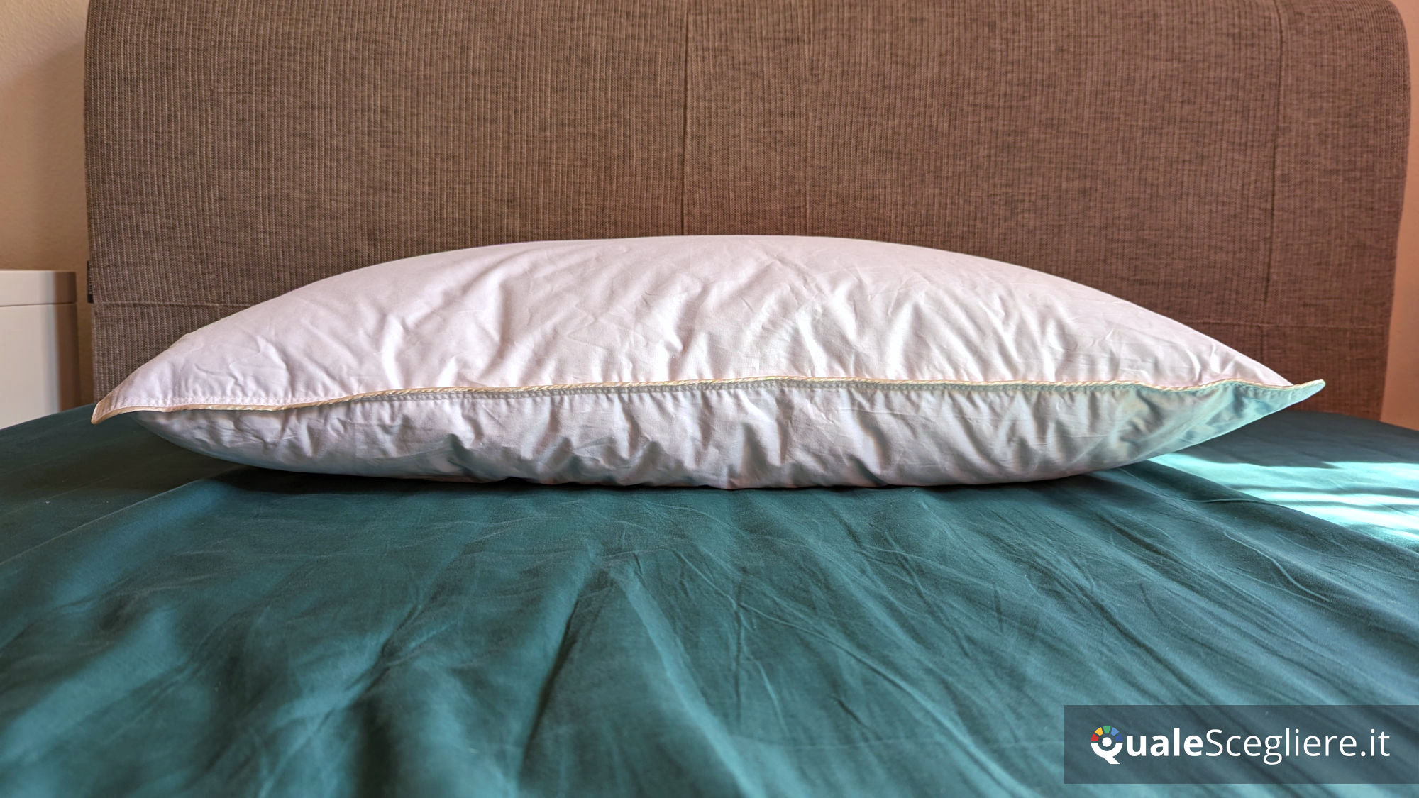 Dalfilo Cuscino in piuma Superior