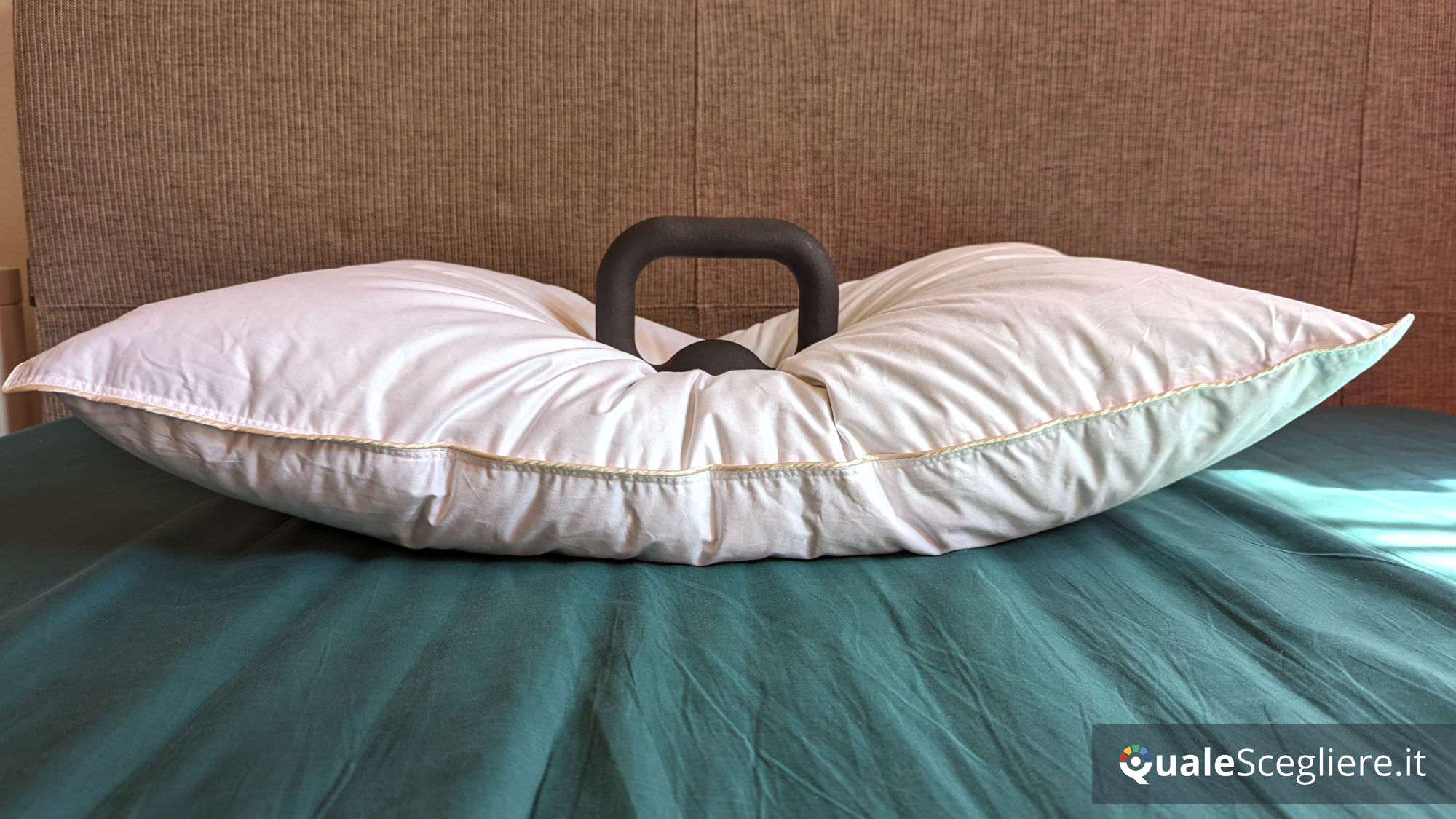 Dalfilo Cuscino in piuma Superior