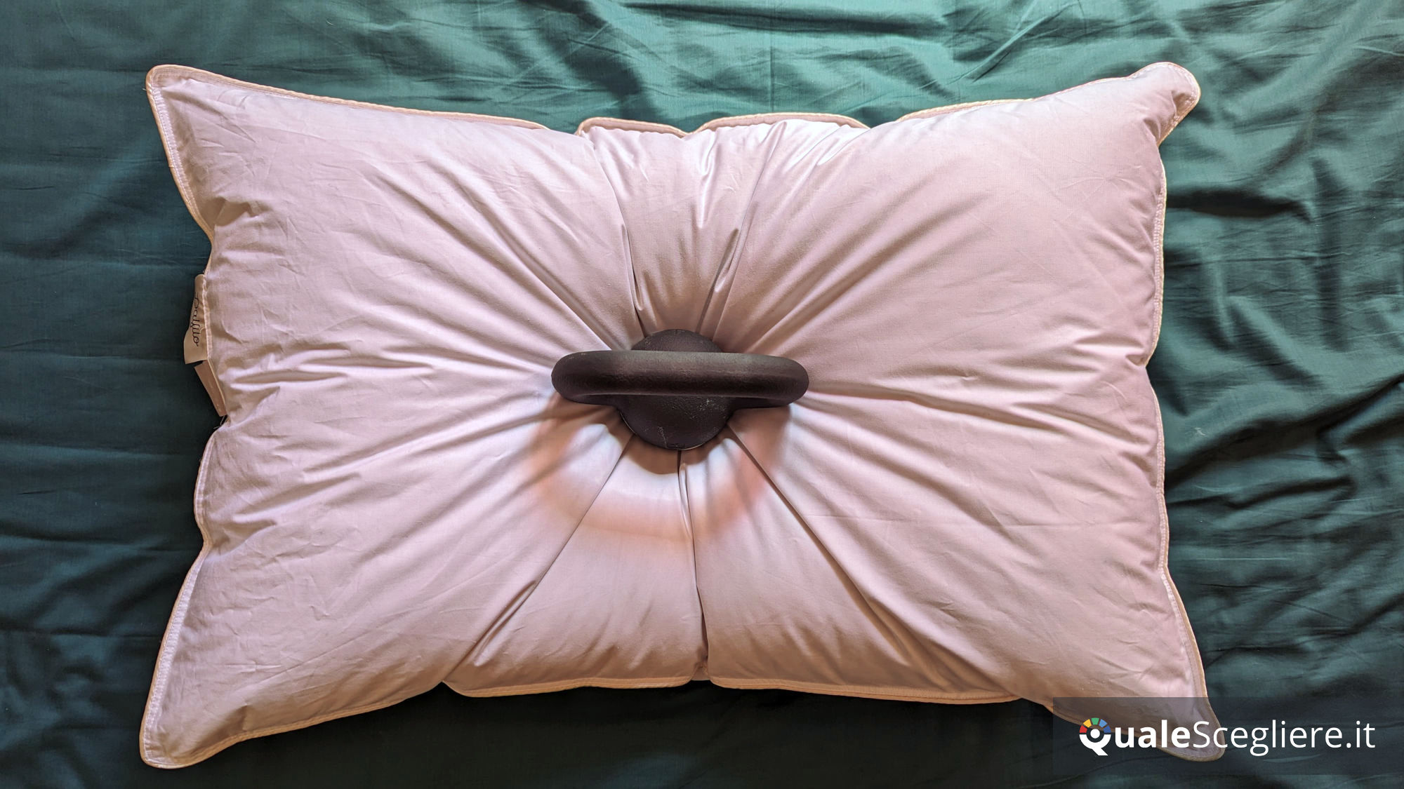 Dalfilo Cuscino in piuma Superior