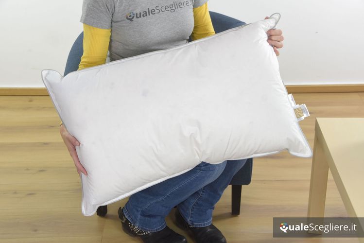 Dreamin 101 Cuscino Royal