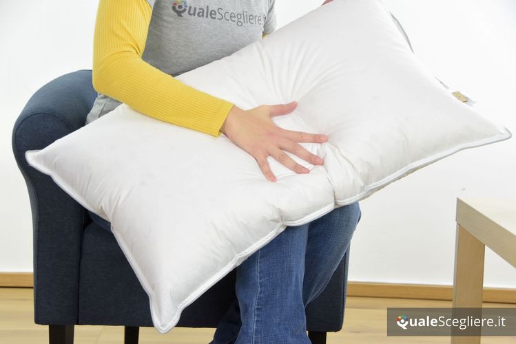 Dreamin 101 Cuscino Royal