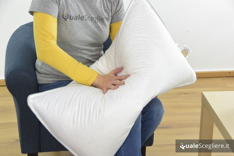 Dreamin 101 Cuscino Royal