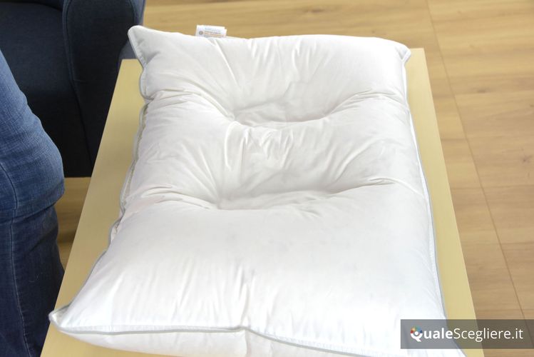 Dreamin 101 Cuscino Royal