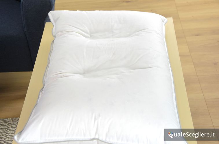 Dreamin 101 Cuscino Royal