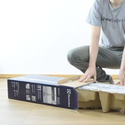 Electrolux ZB3102 Ergorapido