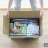 Electrolux ZML8805EL Mobilite