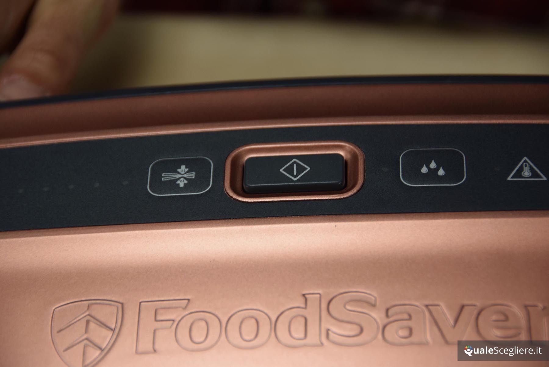 Foodsaver FFS013/X