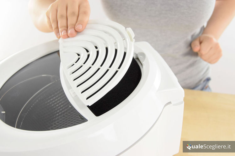 De'Longhi Rotofry F38436