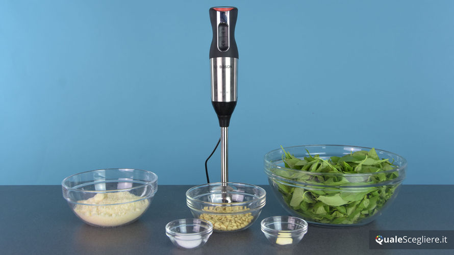 Bosch Ergo Mixx Style MS6CM6120