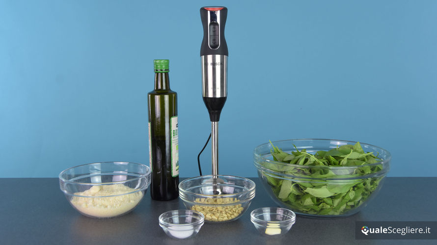 Bosch Ergo Mixx Style MS6CM6120