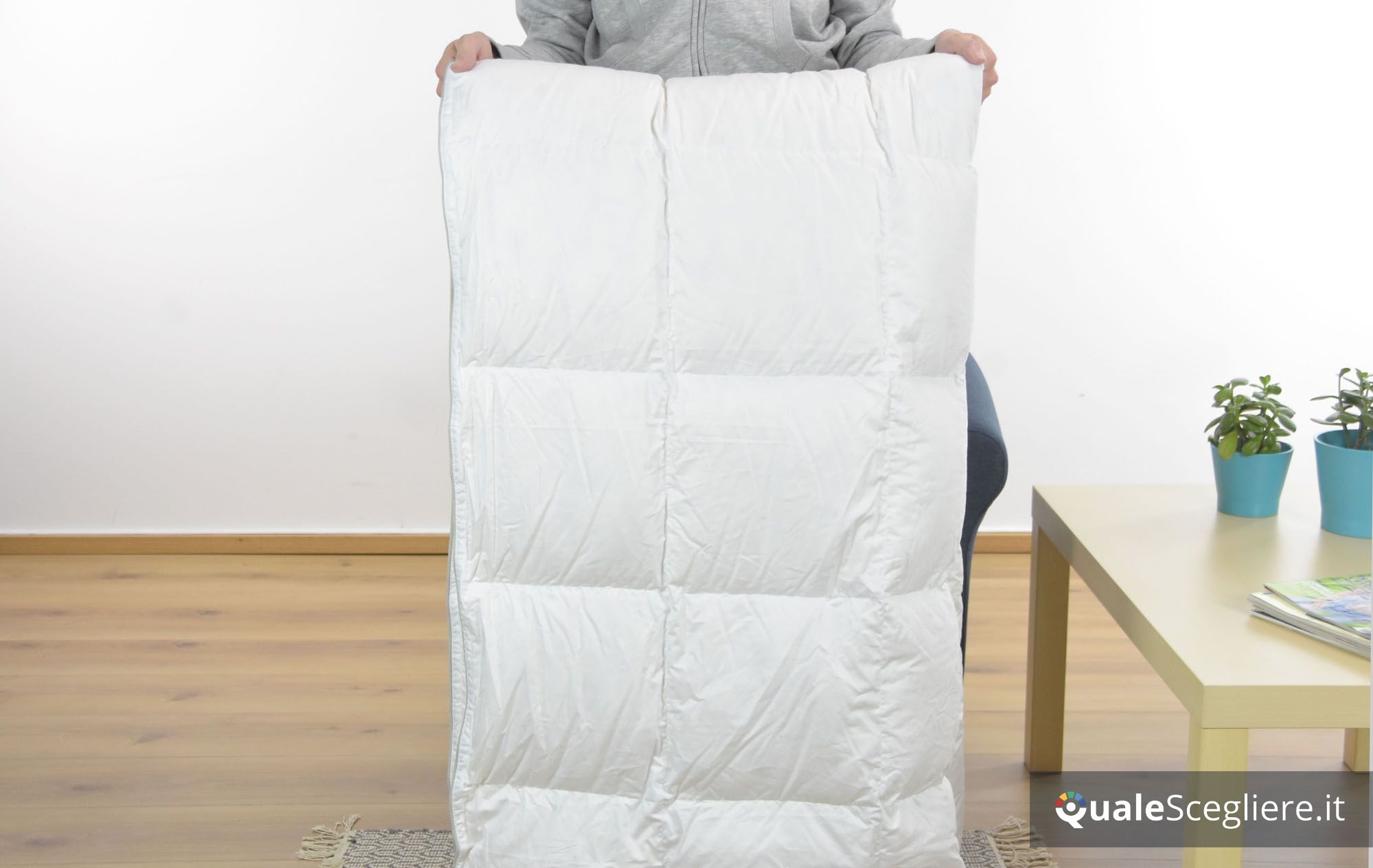 Dreamin' 101 Piumone Classic