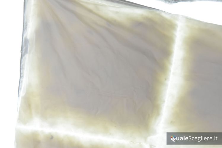 Dreamin' 101 Piumone Classic