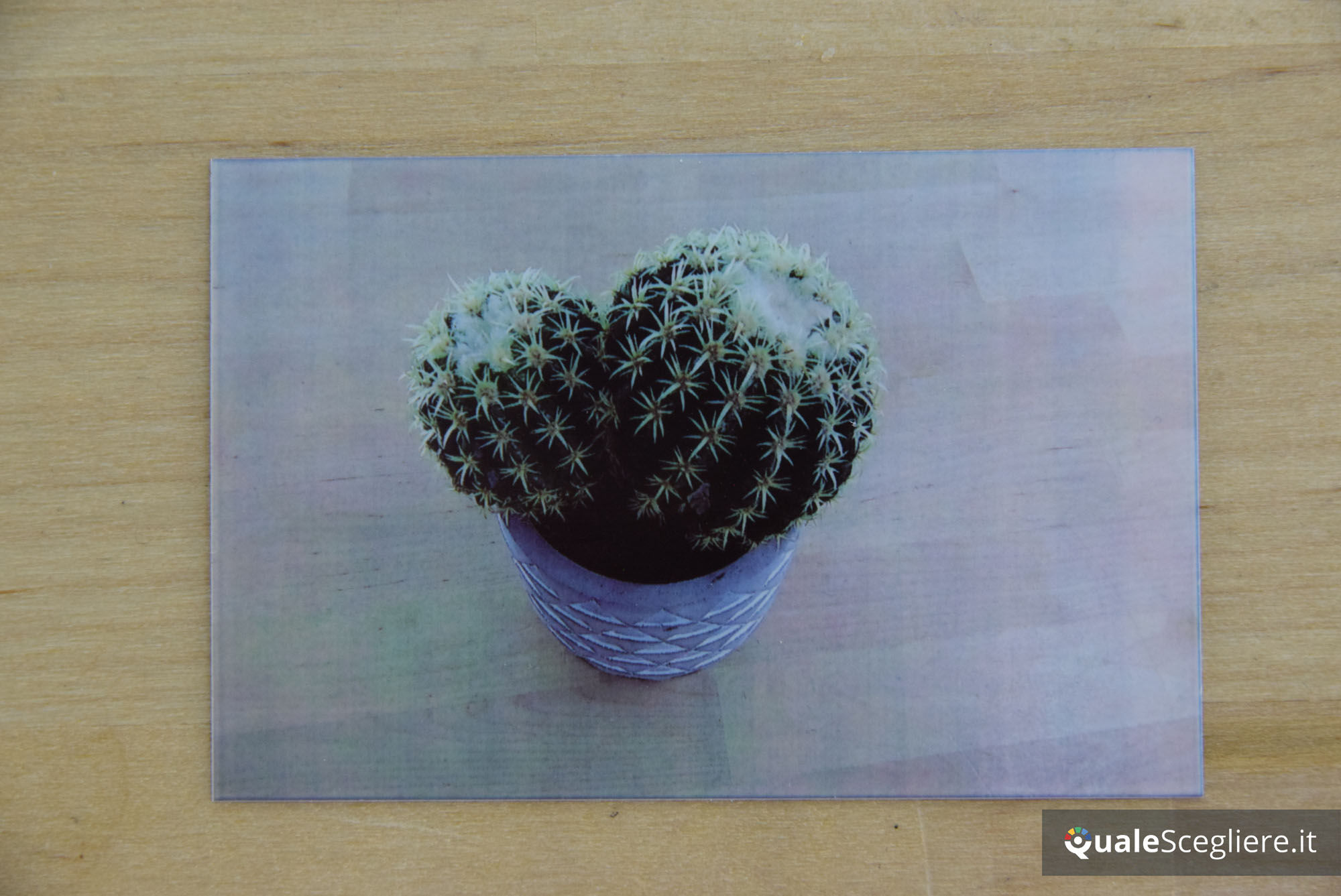 Polaroid Snap Touch