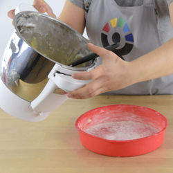 Moulinex i Companion