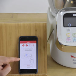 Moulinex i Companion