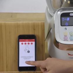 Moulinex i Companion