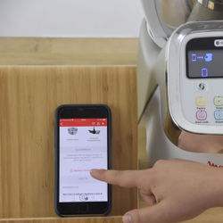 Moulinex i Companion