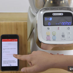 Moulinex i Companion