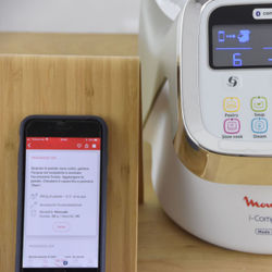 Moulinex i Companion