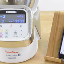 Moulinex i Companion