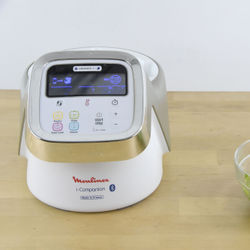 Moulinex i Companion