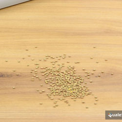 De’Longhi Colombina XLR32LMD