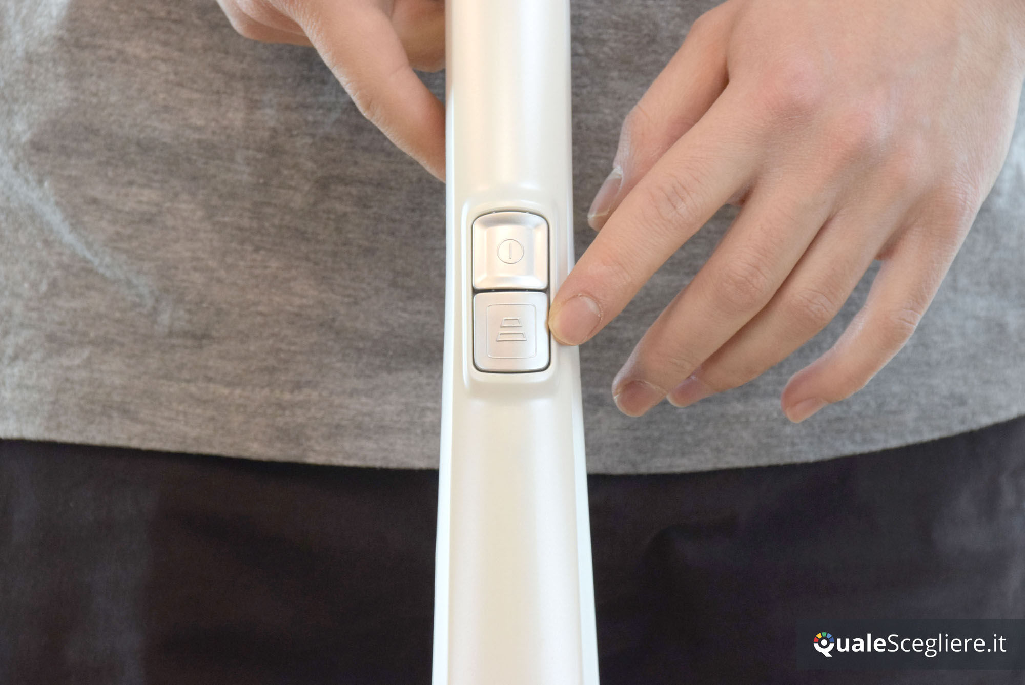 Electrolux ZB3230P Ergorapido AnimalCare