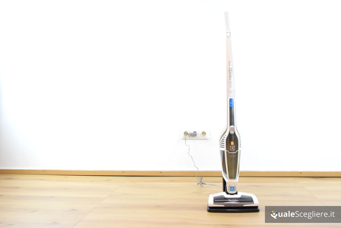 Electrolux ZB3230P Ergorapido AnimalCare