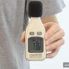 Electrolux ZB3230P Ergorapido AnimalCare