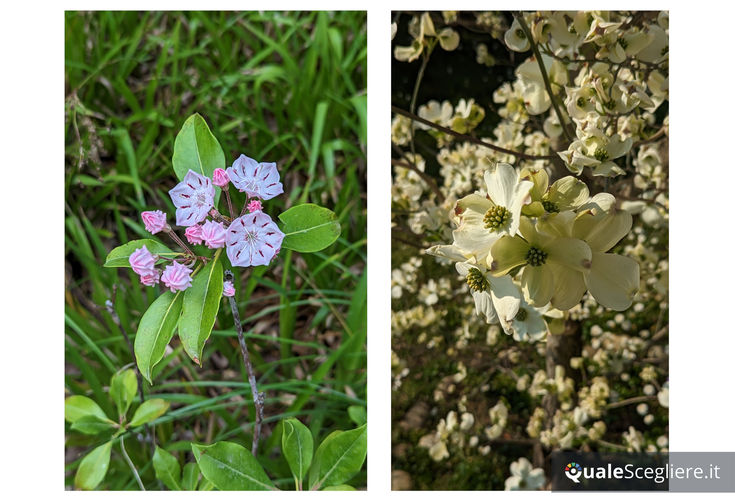 Google Pixel 7 128GB