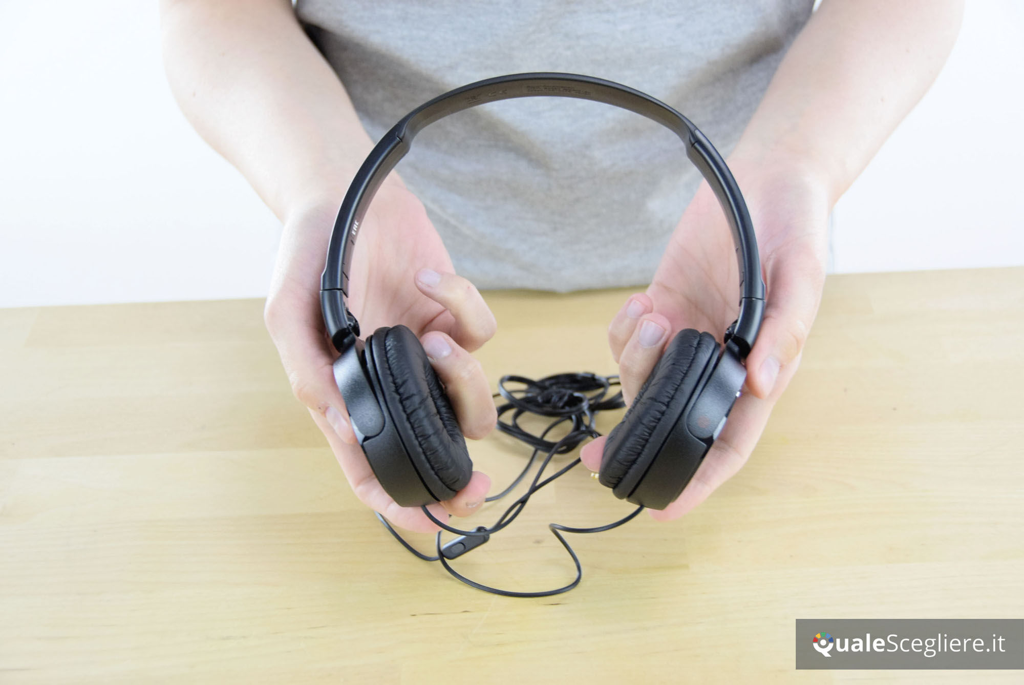 Sony MDR-ZX110AP