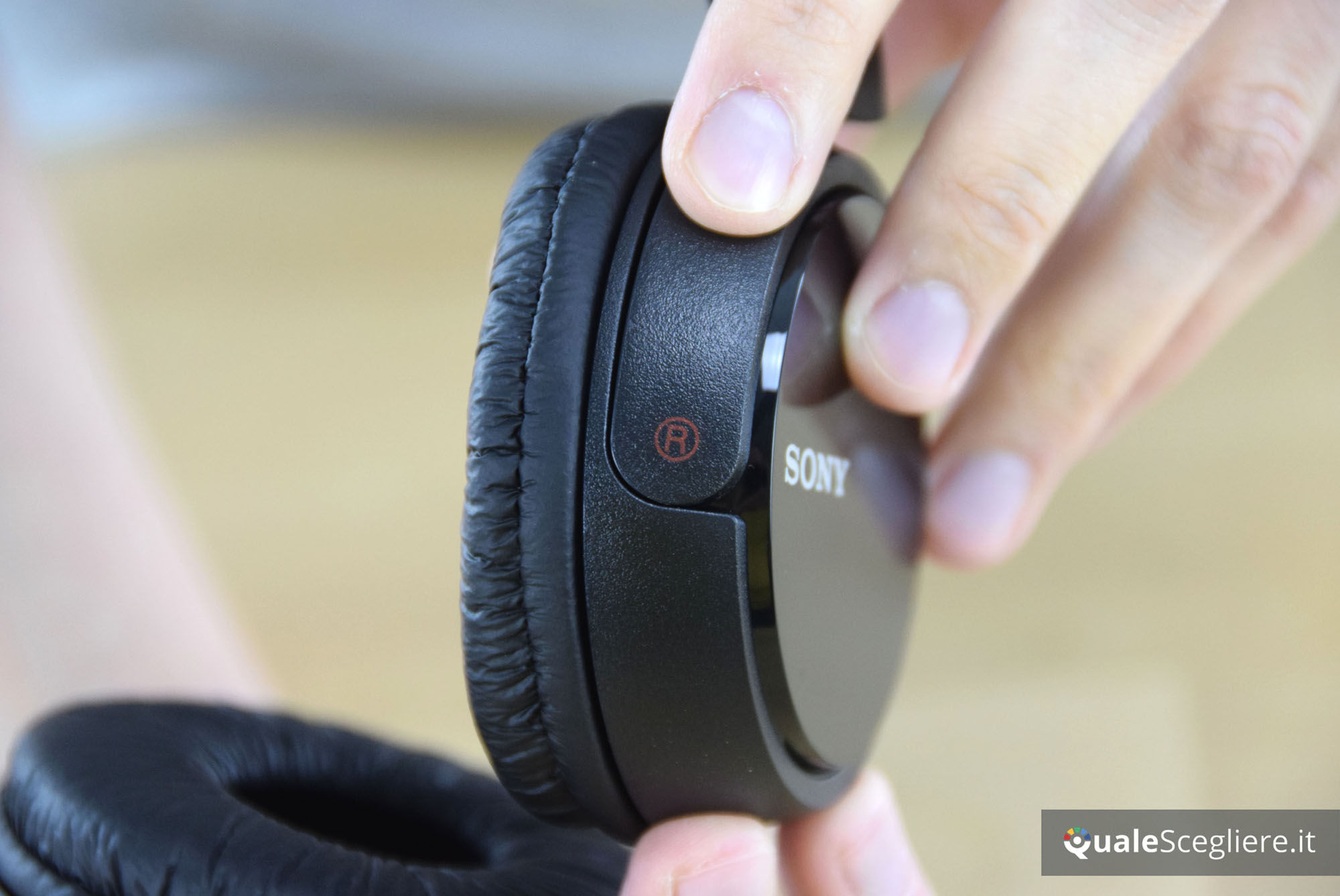 Sony MDR-ZX110AP