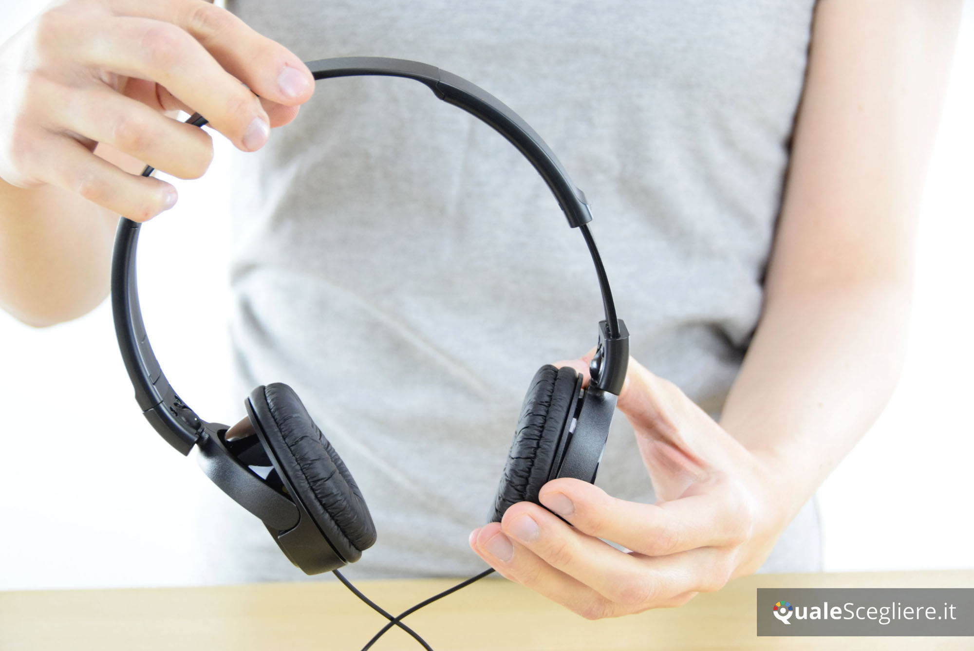 Sony MDR-ZX110AP