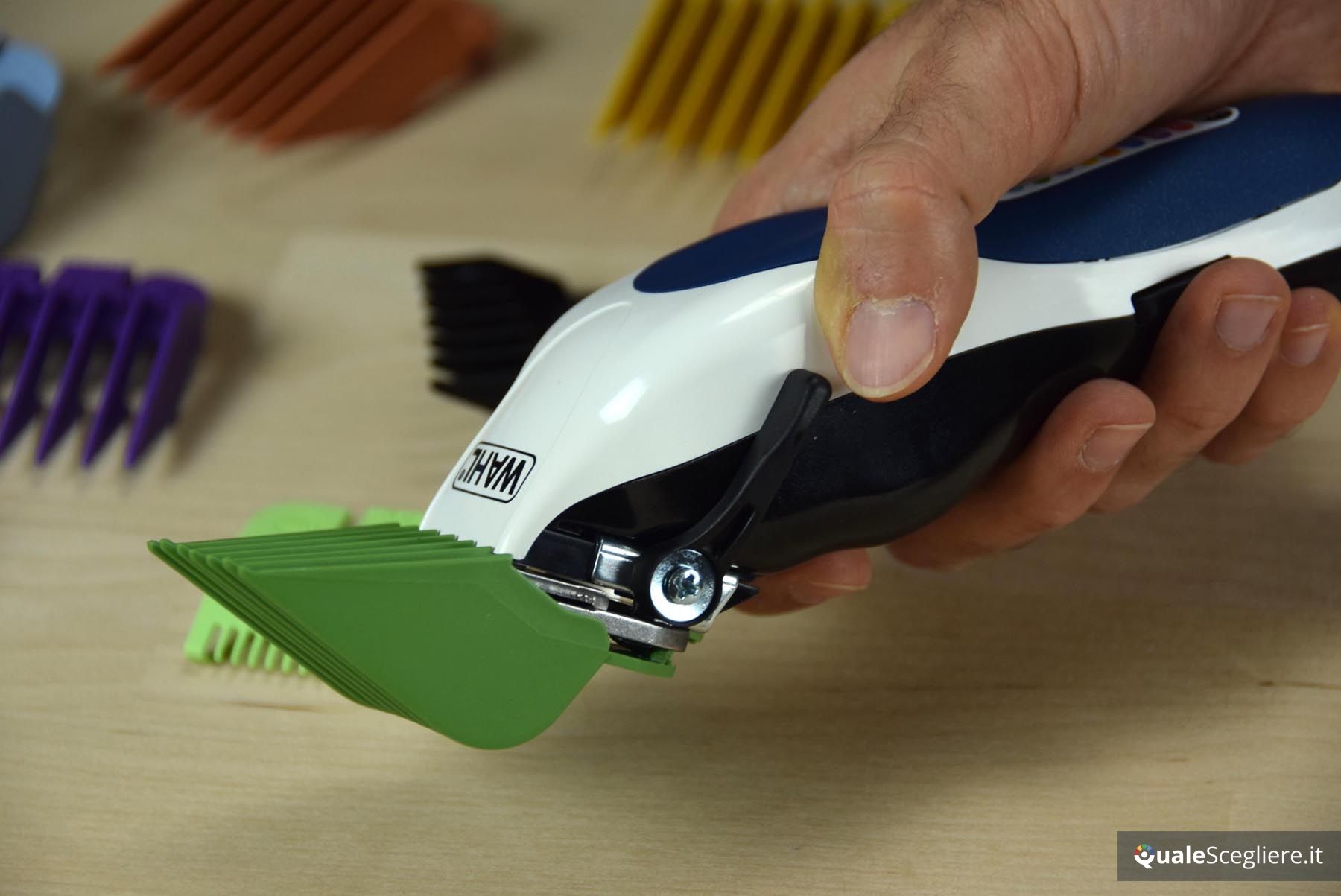 Wahl Color Pro 79300-1616