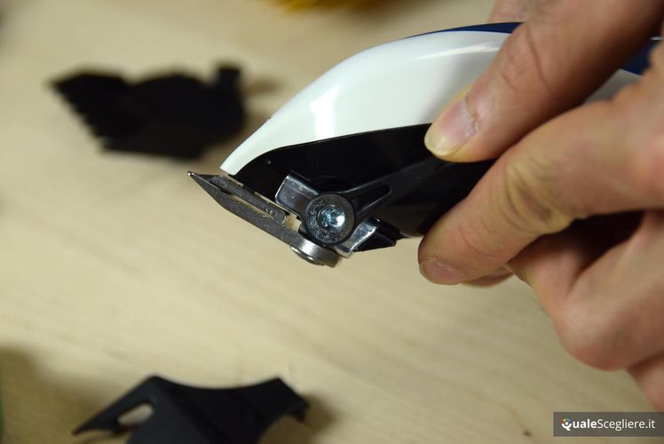 Wahl Color Pro 79300-1616