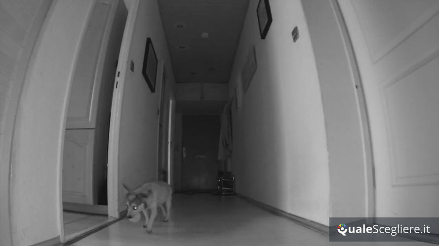 Arlo Essential Indoor VMC2040-100EUS