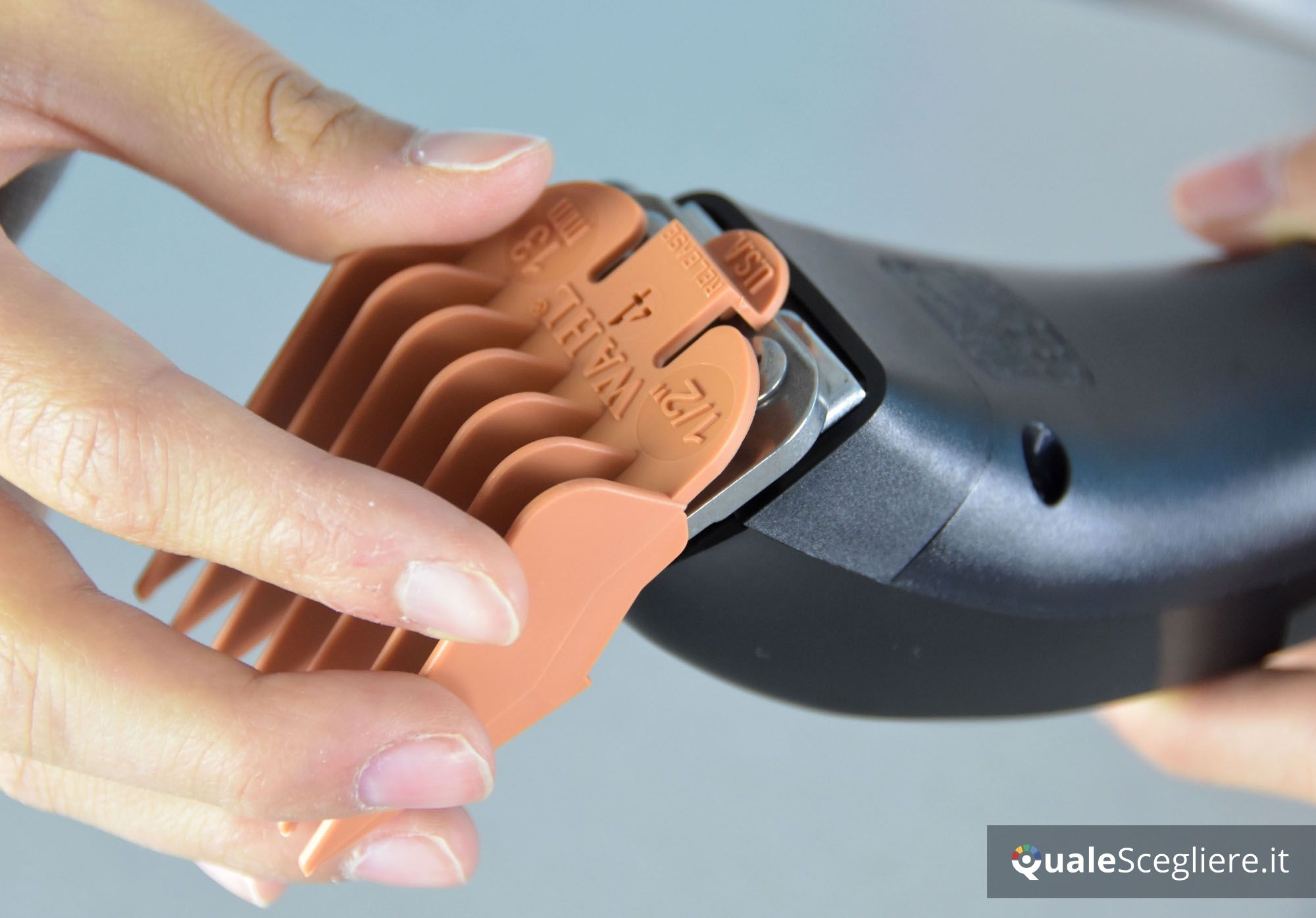 Wahl 8169L