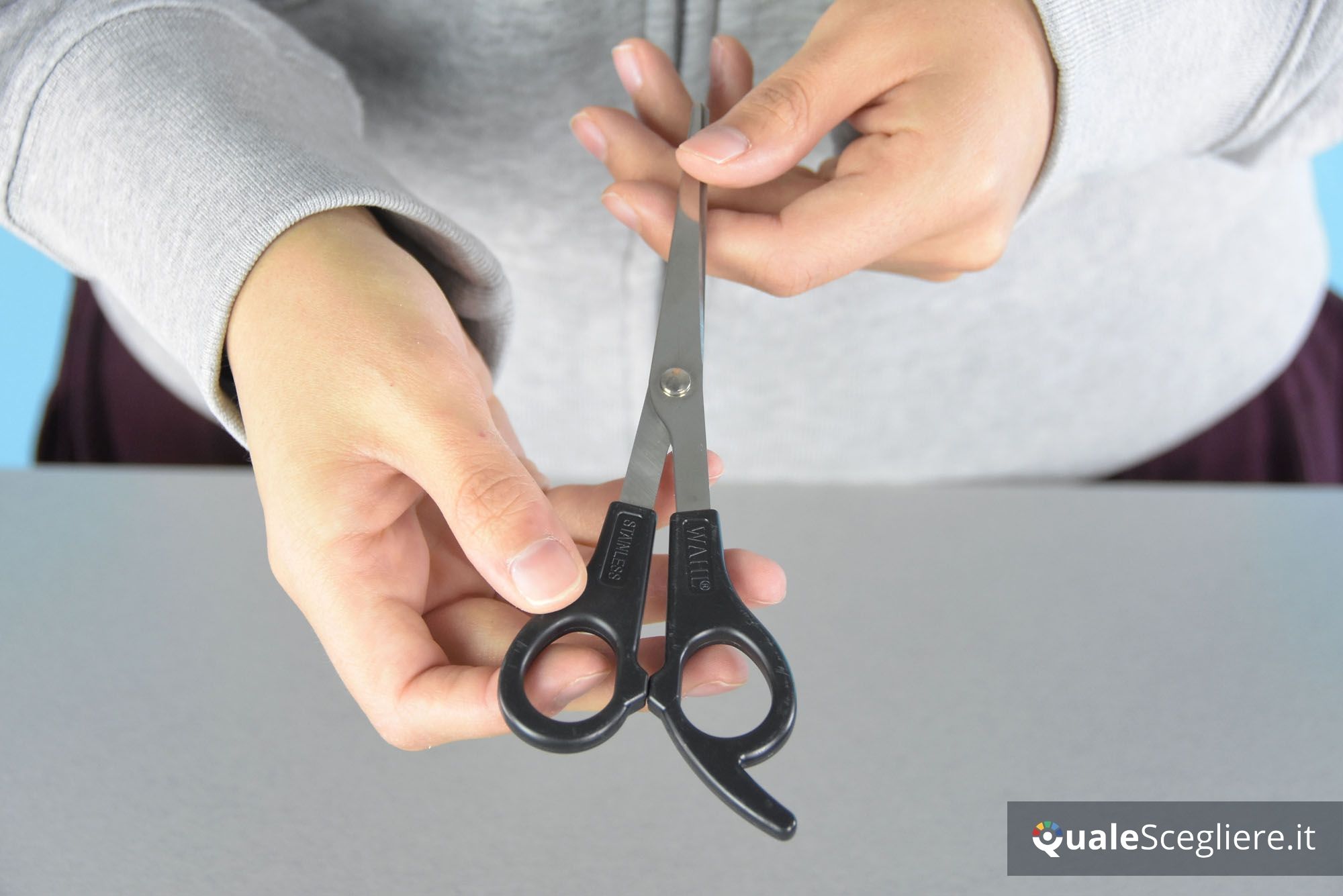 Wahl 8169L